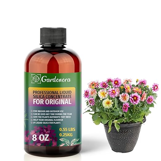 𝐏𝐑𝐄𝐌𝐈𝐔𝐌 Liquid Silica Plant Supplement - 8oz - Original Liquid Silica Boost Fertilizer - Stronger Stems & Healthy Leaves for All Indoor & Outdoor Plants (Makes 45 Gallons)