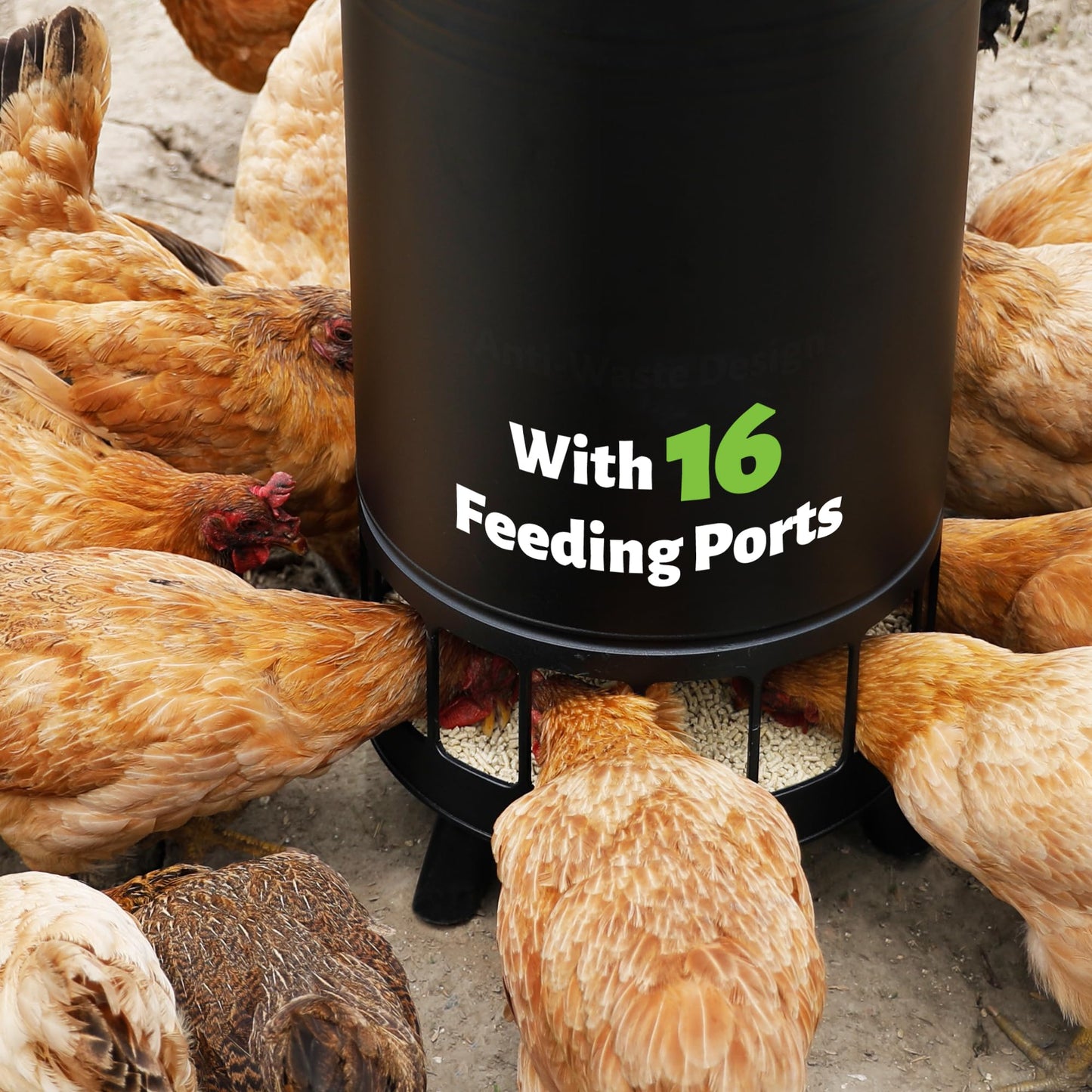Solution4Patio 65 LB Large Free Standing Chicken Feeding Barrel, Portable Gravity Chicken Feeder Automatic, Dispenser, 16 Feeding Ports Poultry Feeder, Hen Coop (Black)