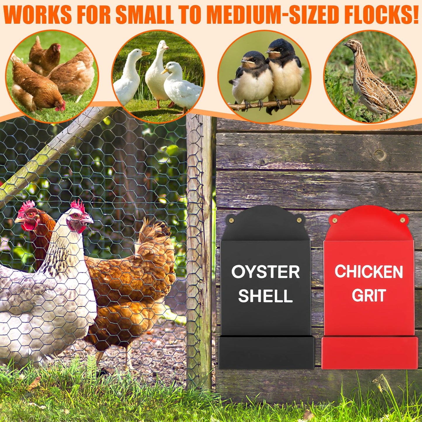 2PCS Chicken Grit Feeder Oyster Shell Feeder, Heavy Duty Metal Automatic Chicken Feeders, No Waste & No Mess, Gravity-Fed Chicks Food Dispenser Hanging Poultry Feeders for Coop Ducks, Pigeons, Doves
