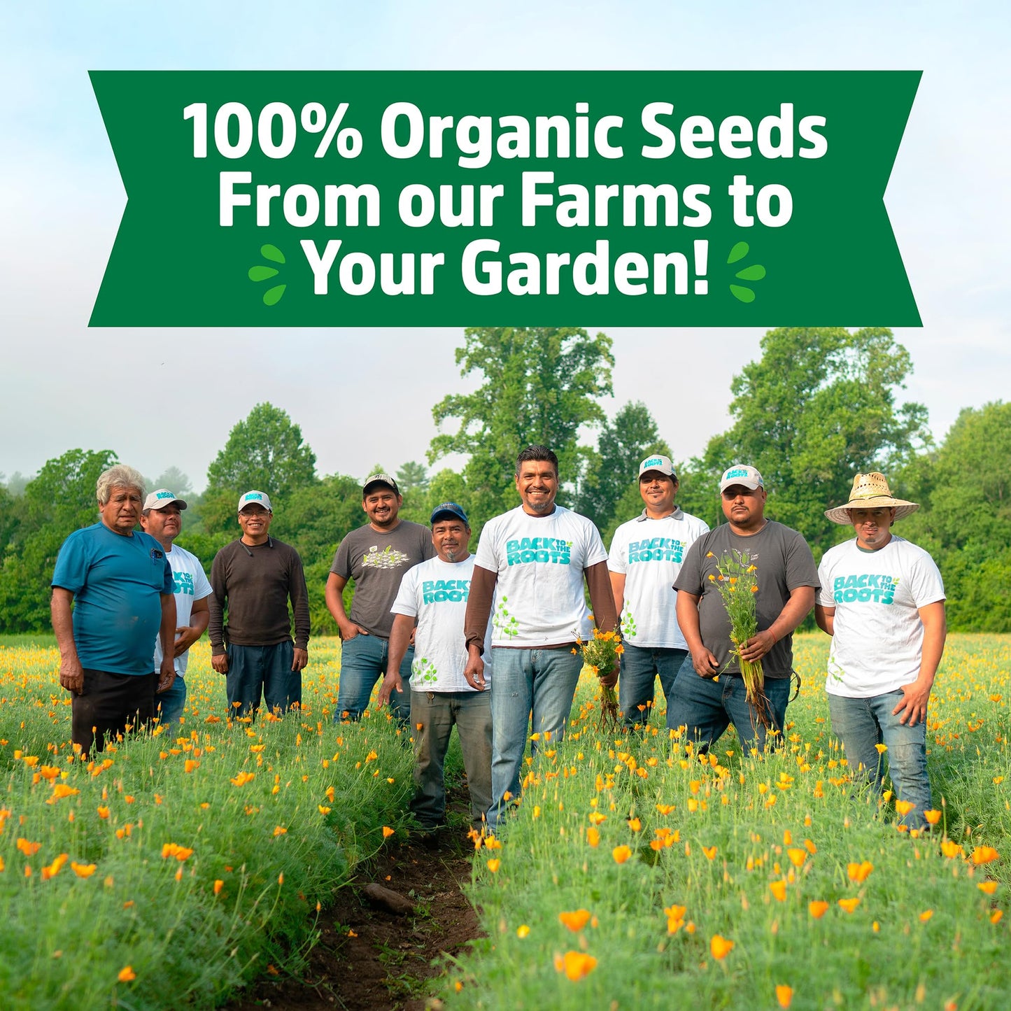 Back to the Roots 100% Organic, Non-GMO Seeds | Variety 30-Pack | Top Herb, Fruit, and Veggies | Guaranteed to Grow