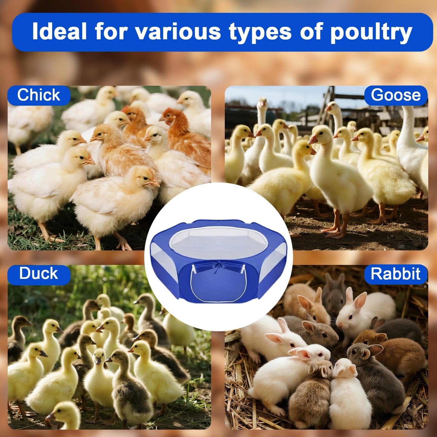 HORTUSGO 2025 Upgrade 6-in-1 Chicken Brooder Box for up to 24 Chicks/Ducks/Quails, Brooder Box for Chicks Includes Foldable Pop-up Pet Tent, Perch, 2 Chick Feeders, Chick Waterer, and Nesting Pad