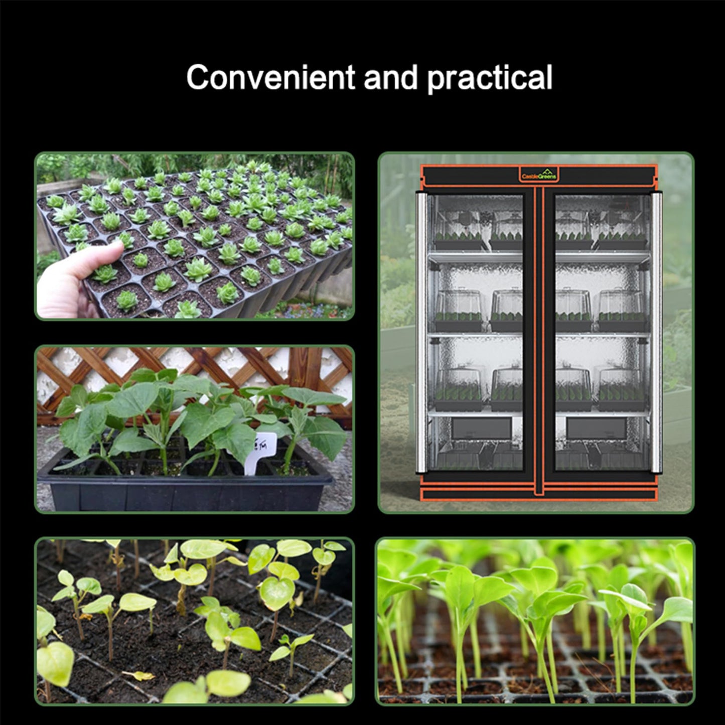 CastleGreens 48"x24"x72" Multi-Storey Grow Tent, Extra-Large Observation windows, Heavy-Duty 600D Mylar Plant Tent, Waterproof Growing Tents, Fit in Indoor Planting, Hydroponics, 4-Layers of seedlings