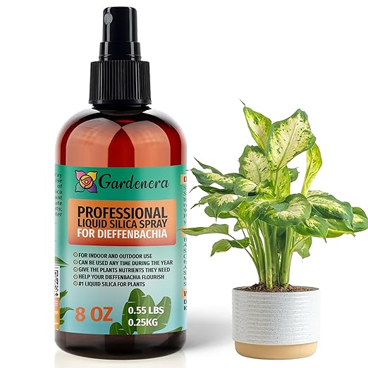 𝐒𝐔𝐏𝐄𝐑𝐈𝐎𝐑 Liquid Silica Boost Fertilizer and Supplement Spray for DIEFFENBACHIA Plants – Pre-Mixed, Ready-to-Use Liquid Silicon Plant Superfood Mist for Indoor & Outdoor Plants – 8oz