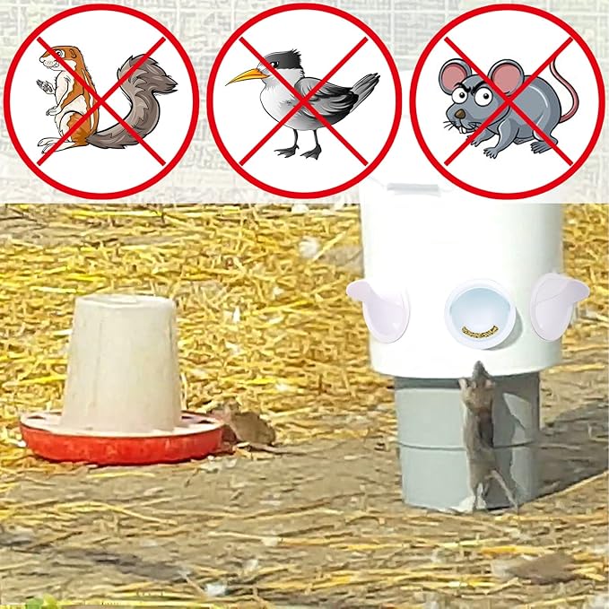 No Waste Chicken Feeder and Waterer Set,with Rat Stopper Caps,6 Ports 6 Chicken Water Cups and Hole Saw,DIY Poultry Feeder Port Gravity Automatic Fed Kit for Buckets,Barrels,Bins,Troughs