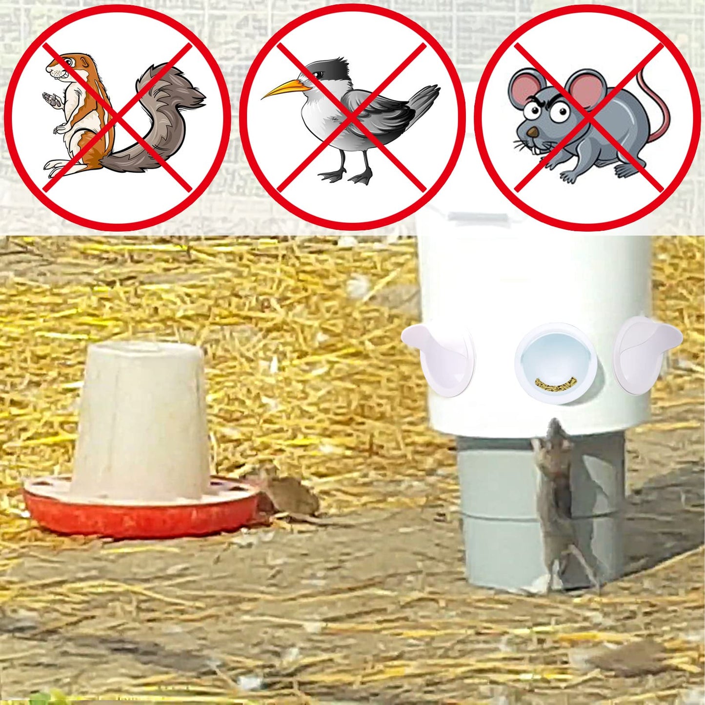 No Waste Chicken Feeder and Waterer Set,with Rat Stopper Caps,6 Ports 6 Chicken Water Cups and Hole Saw,DIY Poultry Feeder Port Gravity Automatic Fed Kit for Buckets,Barrels,Bins,Troughs