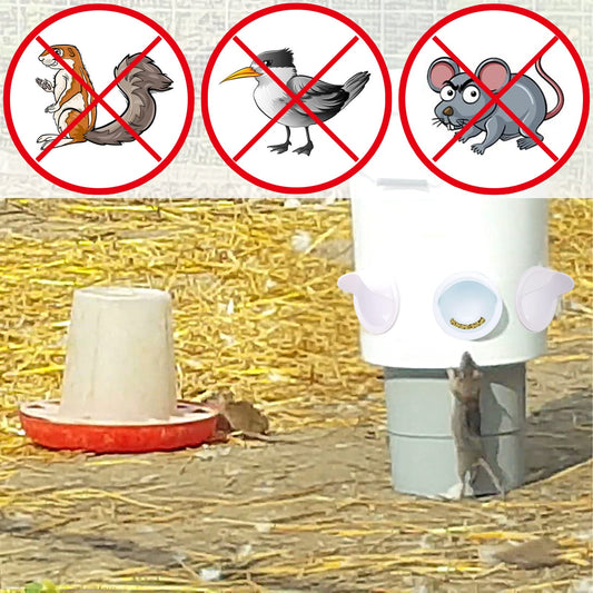 No Waste Chicken Feeder and Waterer Set,with Rat Stopper Caps,6 Ports 6 Chicken Water Cups and Hole Saw,DIY Poultry Feeder Port Gravity Automatic Fed Kit for Buckets,Barrels,Bins,Troughs