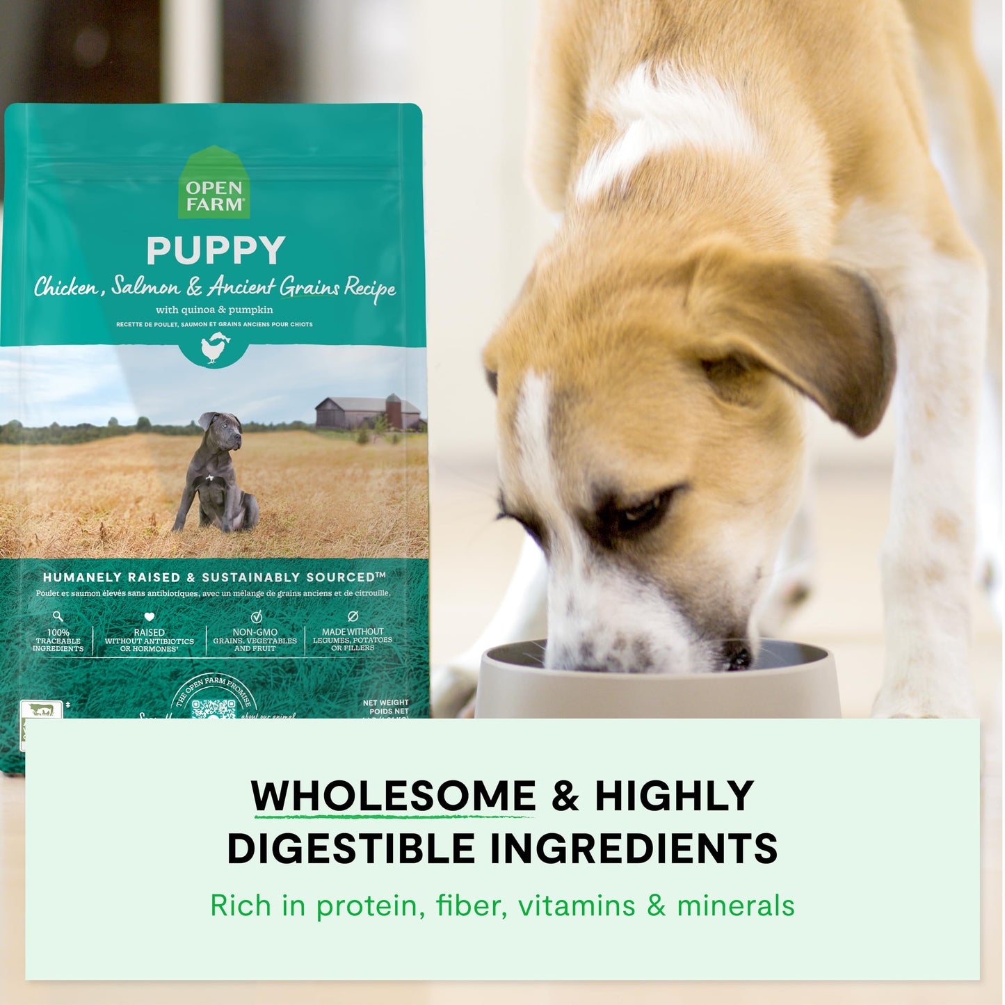 Open Farm, Ancient Grains Dry Dog Food for Puppies, Protein-Rich & Nutrient Dense, 90% Animal Protein Mixed with Non-GMO Fruits, Veggies and Superfoods, Chicken & Salmon Recipe for Puppy, 22lb Bag
