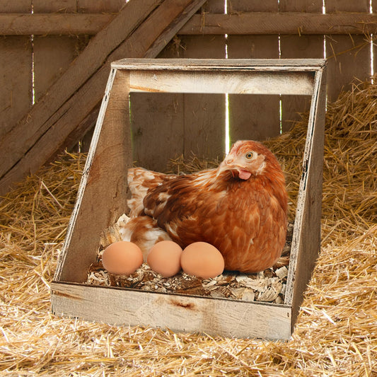 Farm Innovators Single Compartment Versatile Hand Crafted Fully Assembled Wood Nesting Box Coop Ideal for Chicken, Ducks, and Birds