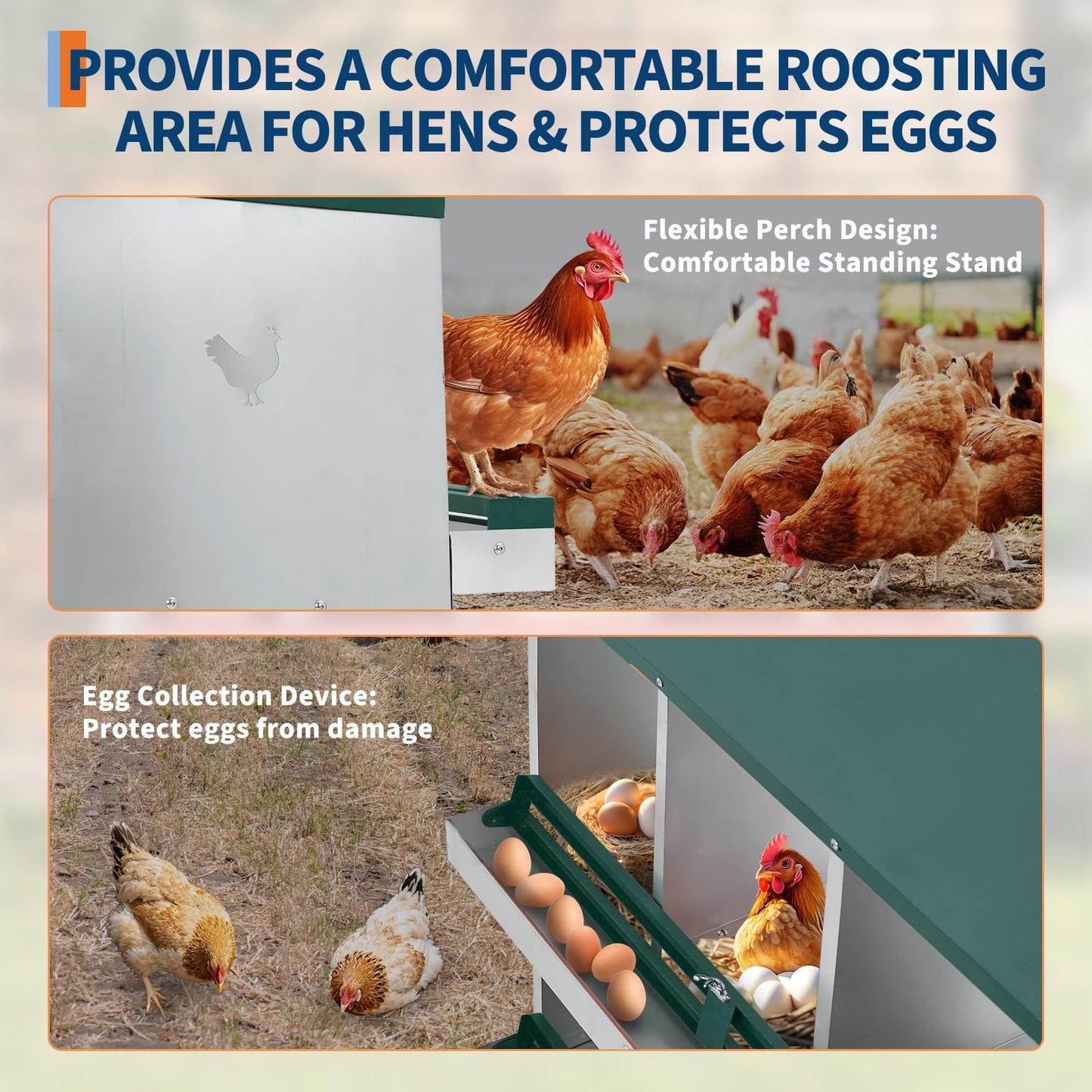 GarveeTech 6 Compartments Chicken Nesting Boxes for Laying Eggs, Egg Laying Boxes for Chickens, Poultry Nesting Boxes to Protect & Collect Eggs