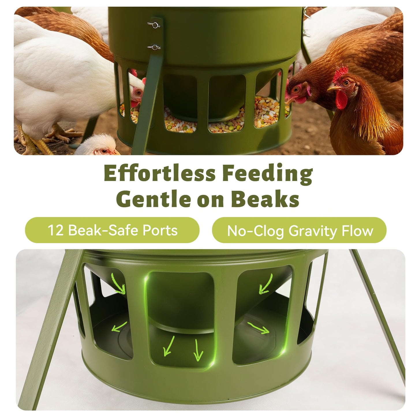 Metal Chicken Feeder - 20lbs Ground Poultry Feeder with 12 Ports, Powder Coated Rust-Proof Design & Smooth Edges for Safe Feeding (Avocado Green, 20lbs)