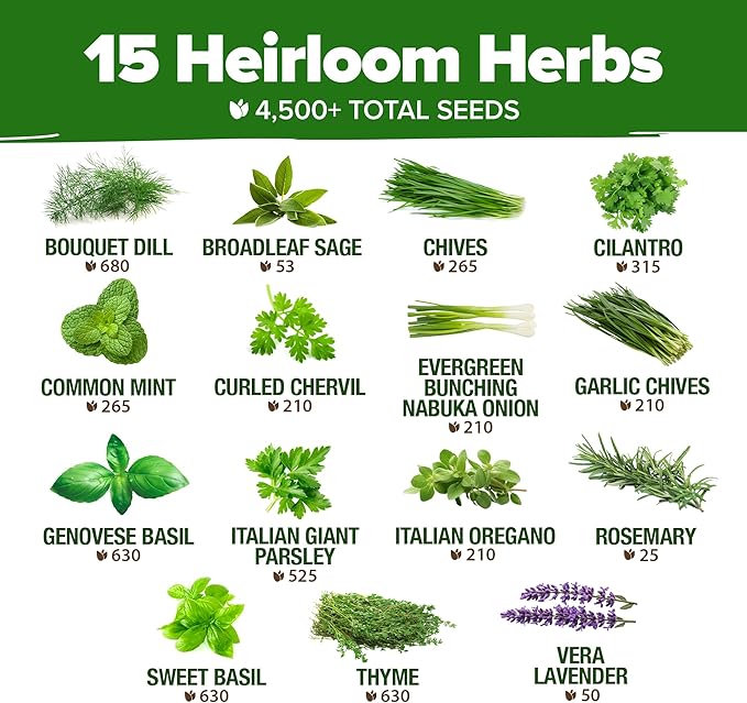 55 Vegetable Seeds & 15 Culinary Herb Seeds Pack – 32,500+ USA Non-GMO Heirloom Seeds for Planting – Survival Garden Kit for Preppers – Gifts for Gardeners Men Women