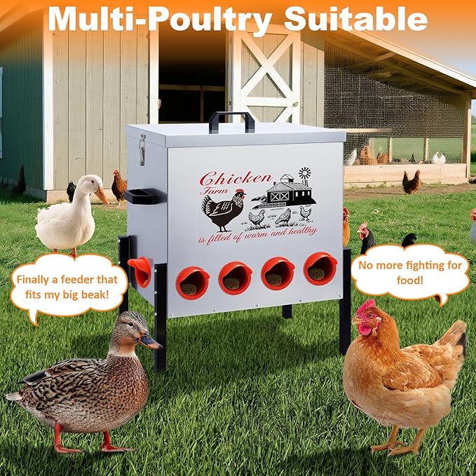 100LB Large Automatic Chicken Feeder–10 Feeding Ports No-Waste Galvanized Metal Chicken Feeder Box with Adjustable Legs & Locking Lid Poultry Feeder for Chickens,Ducks,Geese,Rust-Resistant