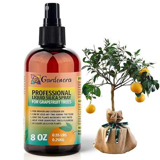 𝐒𝐔𝐏𝐄𝐑𝐈𝐎𝐑 Liquid Silica Boost Fertilizer and Supplement Spray for Grapefruit Trees – Pre-Mixed, Ready-to-Use Liquid Silicon Plant Superfood Mist for Indoor & Outdoor Plants – 8oz