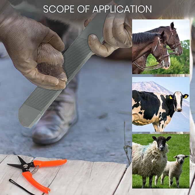 Goat Hoof Trimmer & Hoof Rasp File Set - Livestock Hooves Care Tools for Goats/Sheep - Precision Hand Pruners - Trimming Garden Secateurs