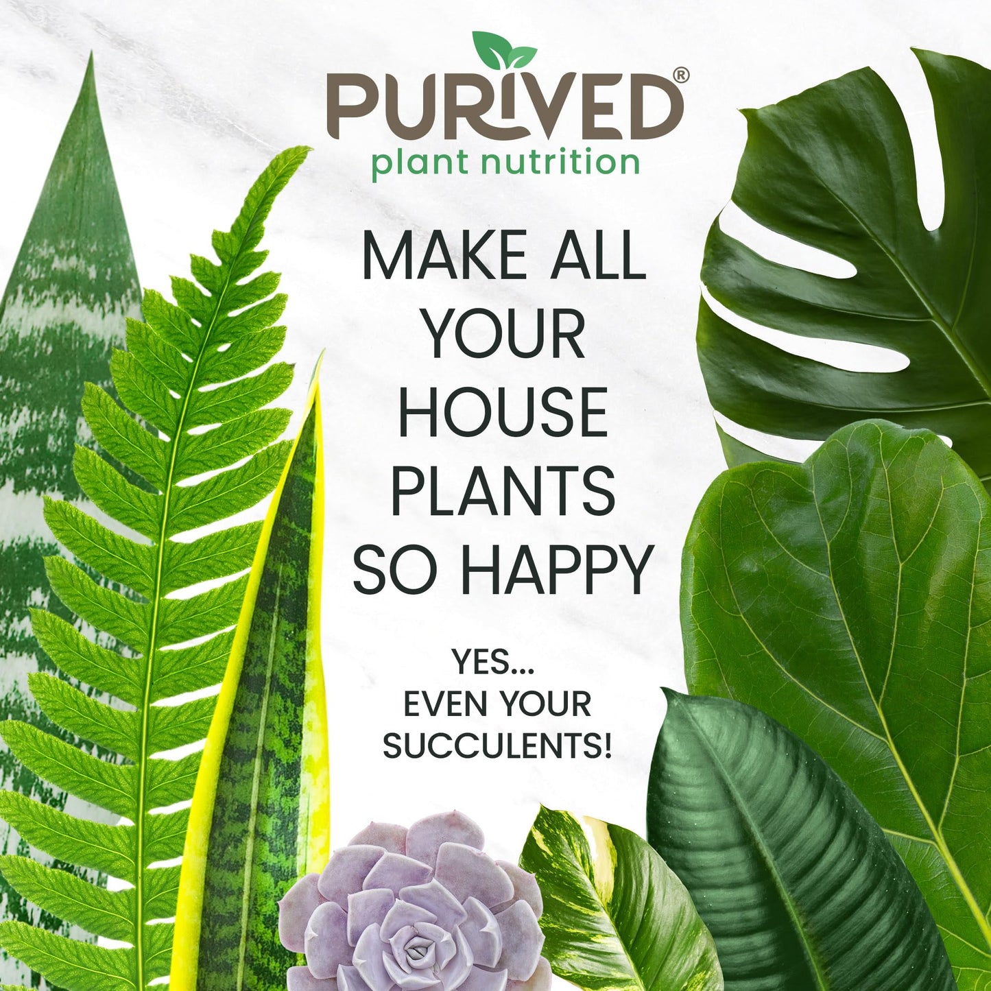 Purived 1gal All-Purpose Liquid Plant Fertilizer - Makes 320 Gallons, for Indoor Houseplants, All-Natural, Groundwater Safe, Made in USA