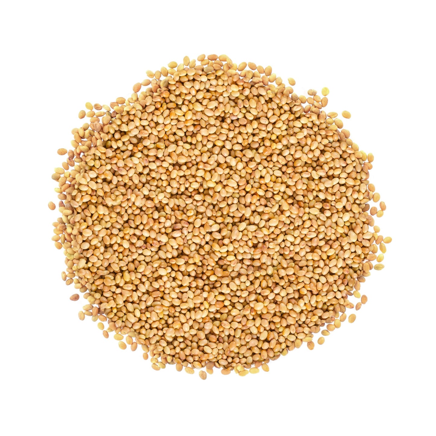 Food to Live Organic Clover Seeds for Sprouting, 10 Pounds Non-GMO, Pure, Vegan, Kosher, Bulk, Edible Seeds, Rich in Vitamins, Minerals, Fiber for Growing Sprouts, Microgreens High Germitation Rate
