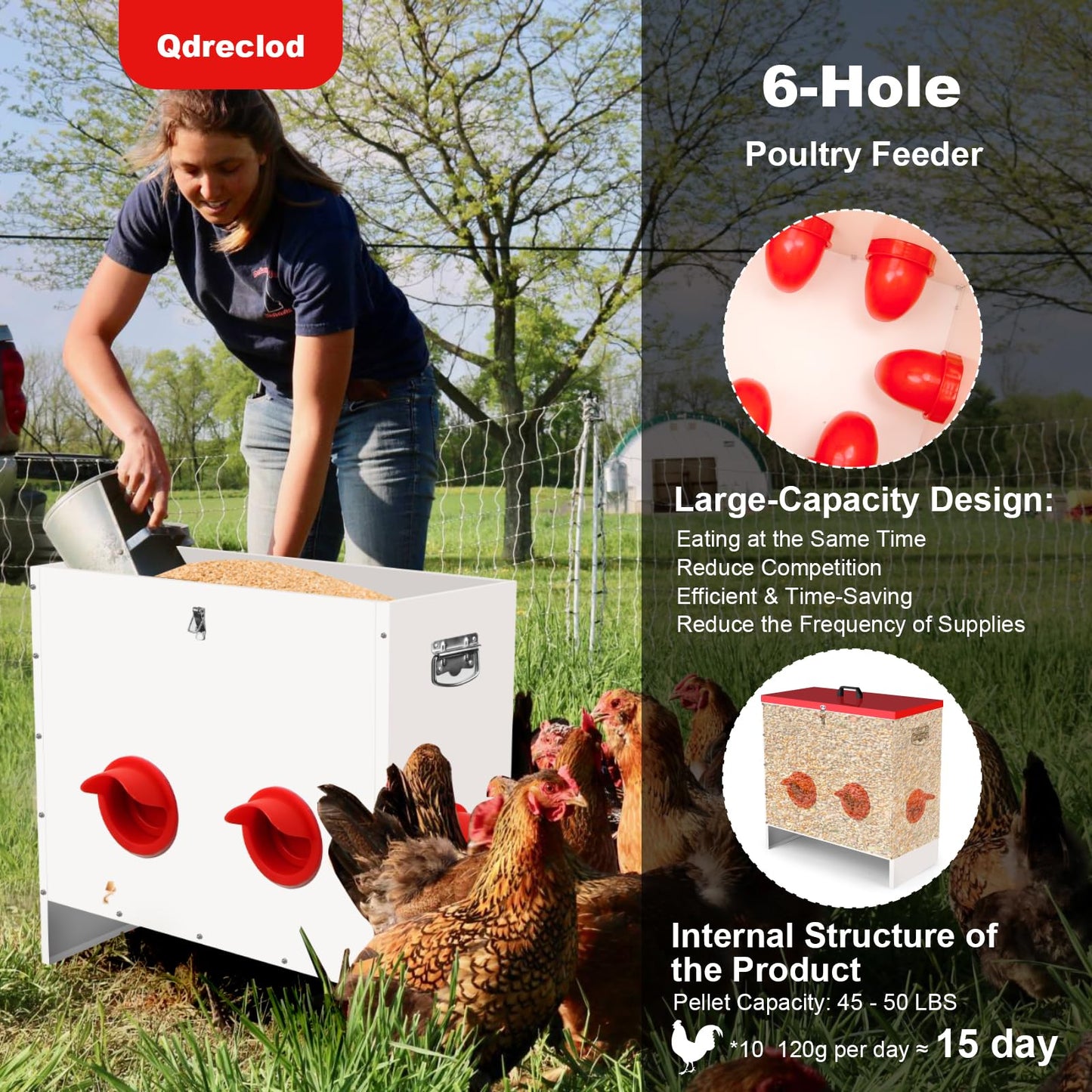 Qdreclod Professional Automatic Chicken Feeder (50LB) - 6 Port Metal Chicken Feeder，Large Capacity Automatic Poultry Feeder System, No Waste Poultry Feeder with Locking Lid for Chickens, Ducks&Poultry