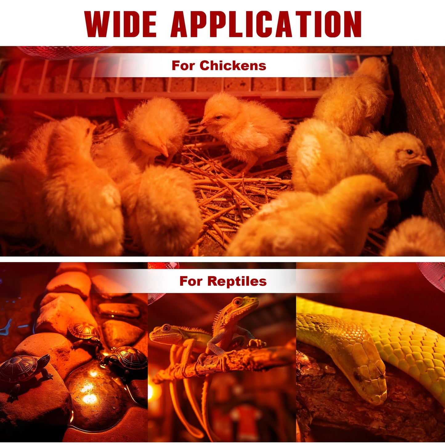 ROVOCLO Heat Lamp for Chickens,150W Red Heat Lamp Infrared Light Bulb for Chicks,Chicken Coop