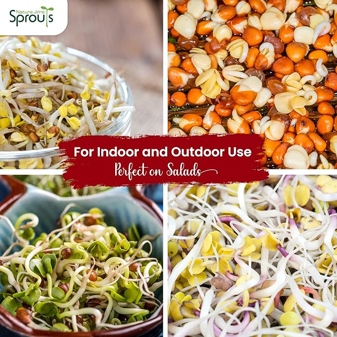Nature Jims Radish Sprout Seeds – 16 Ounce Organic Sprouting Seeds – Non-GMO Premium Radish – Resealable Bag for Longer Freshness Rich in Vitamins, Minerals, Fiber