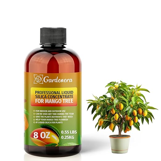 𝐏𝐑𝐄𝐌𝐈𝐔𝐌 Liquid Silica Plant Supplement - 8oz (250mL) - Mango Tree Plants Liquid Silica Boost Fertilizer - Stronger Stems & Healthy Leaves for Indoor & Outdoor Mango Trees (Makes 45 Gallons)