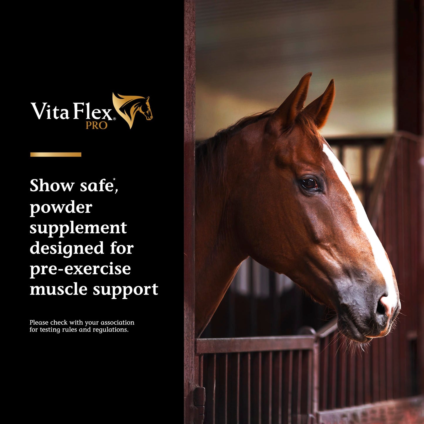 Vita Flex Pro Lactanase Pre Performance, show safe* muscle and metabolism support