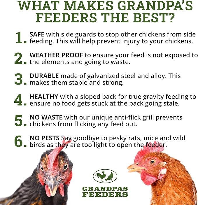 Grandpas Feeders Automatic Chicken Feeder for Large Size for 12 Chickens - Long-Lasting Galvanized Steel - Zero Waste Poultry Feeder, Spill Proof with Weatherproof Lid 10 Days (40lb Feed)