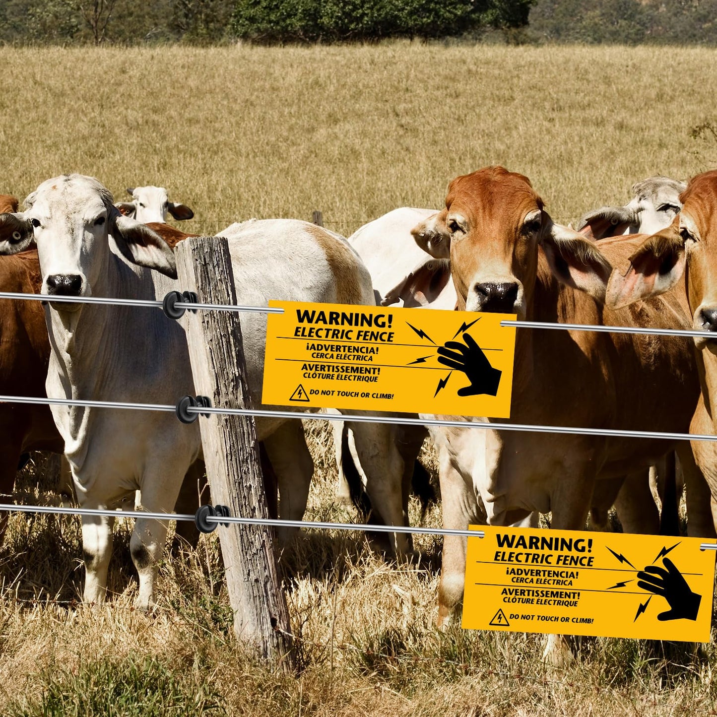 Yaocom 53 Pcs Electric Fence Set 250FT Electric Fence Wire 50 Pcs Electric Fence Insulators and 2 Pcs Electric Fence Warning Signs for Animal Husbandry Electronic