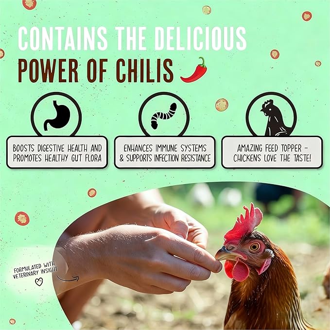 Natural Chicken Dewormer Powder - Chili Flavor | All-Natural Poultry Worm Treatment for Hens & Birds | Easy-Mix Feed Supplement | Safe for Eggs | No Withdrawal (1LB Pouch)