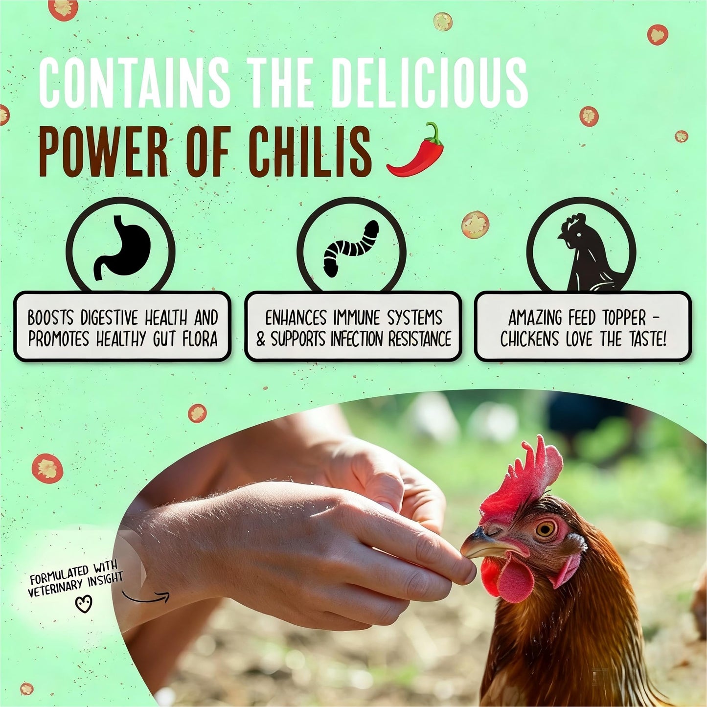 ZURPRISE Natural Chicken Dewormer Powder - Chili Flavor | All-Natural Poultry Worm Treatment for Hens & Birds | Easy-Mix Feed Supplement | Safe for Eggs | No Withdrawal (1LB Pouch)