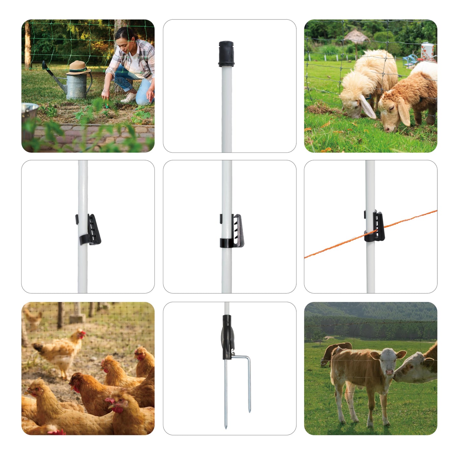 60'' Fiberglass Electric Fence Posts with Double Spikes for Animals, Garden Protection, etc. - 36 Posts Come with 180 Clips
