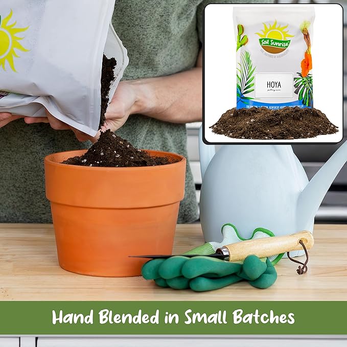 Hoya Plant Potting Soil Mix (8 Quarts), Custom Blend for Growing Hoya Tropical Houseplants