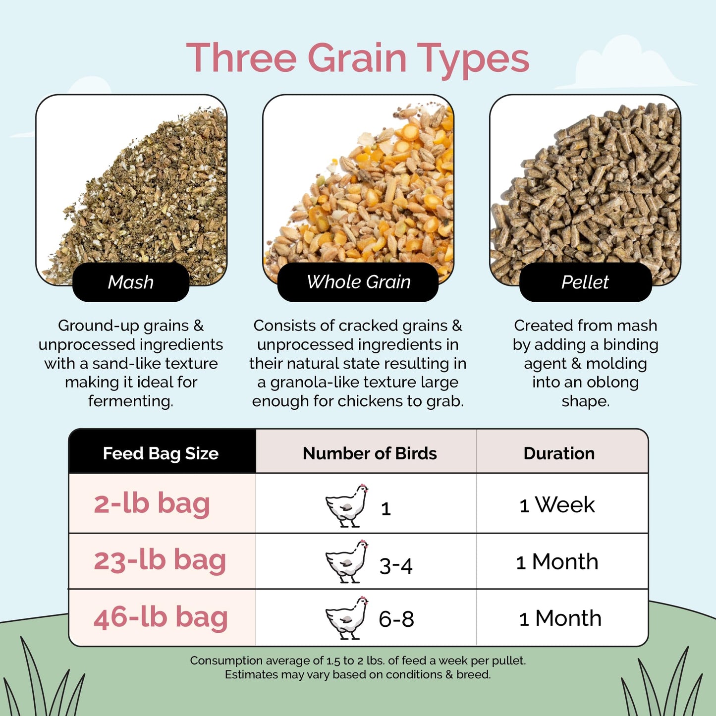 Mile Four Organic Chicken Feed – Layer Whole Grain, Non-GMO, USA Grown, 16% Protein, Corn-Free, Soy-Free, Non-Medicated Feed for Chickens, 2 lb Sample