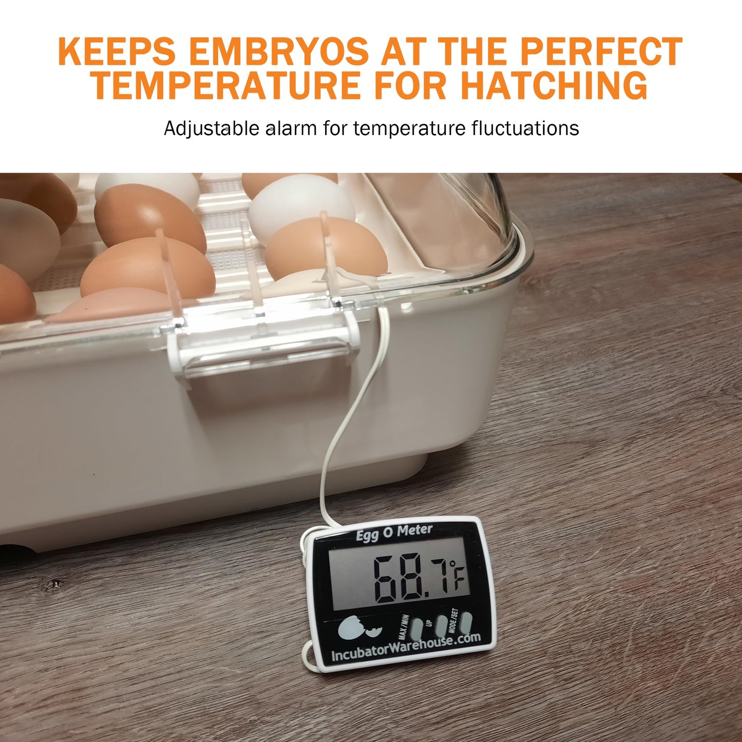 Incubator Warehouse Egg-O-Meter - Large Digital Display Egg Thermometer with Min/Max Memory - Reads Celsius and Fahrenheit +/-1