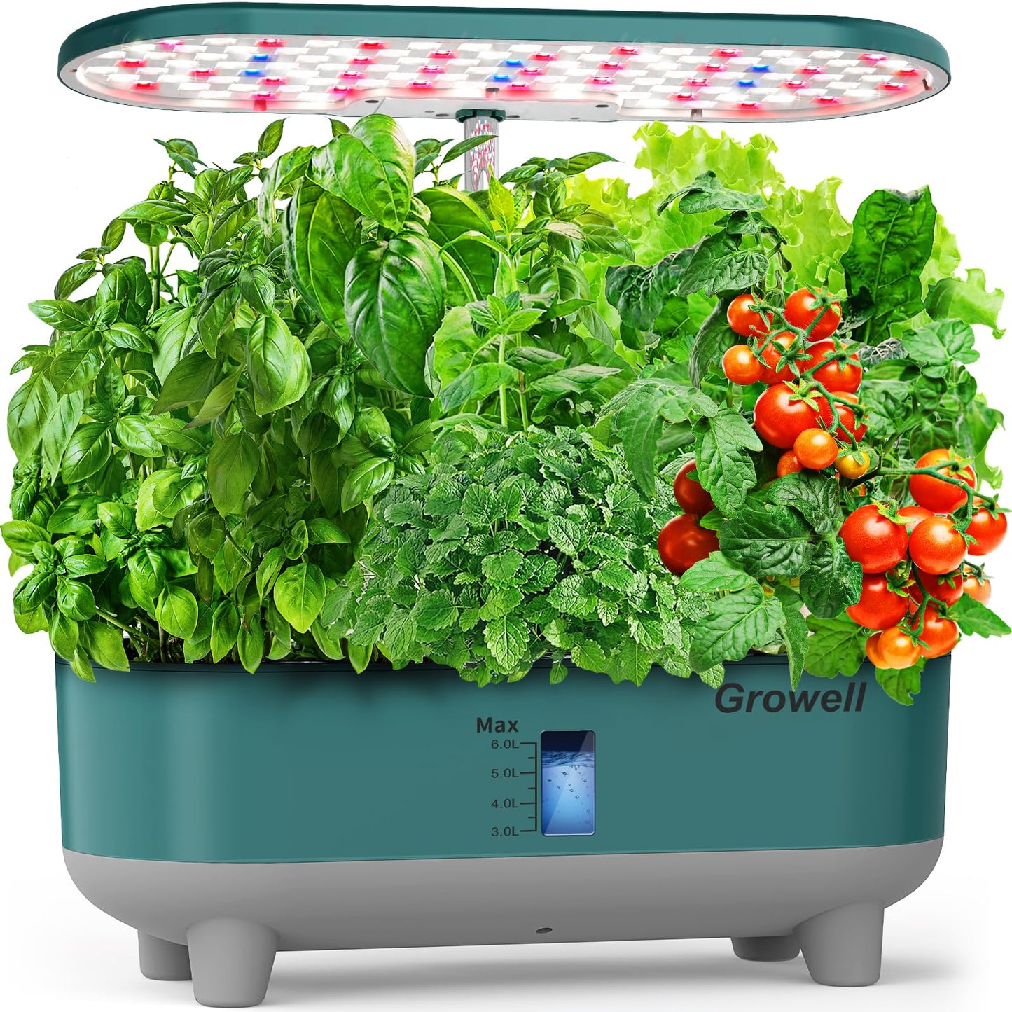 Growell 16 Pods Hydroponics Growing System Kit & 90 Pods Vertical Indoor Garden