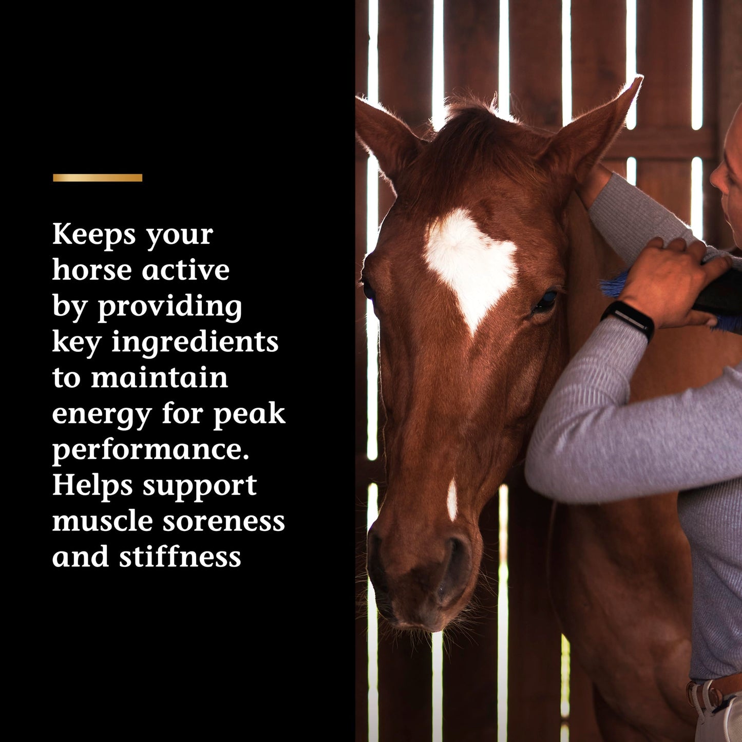 Vita Flex Pro Lactanase Pre Performance, show safe* muscle and metabolism support