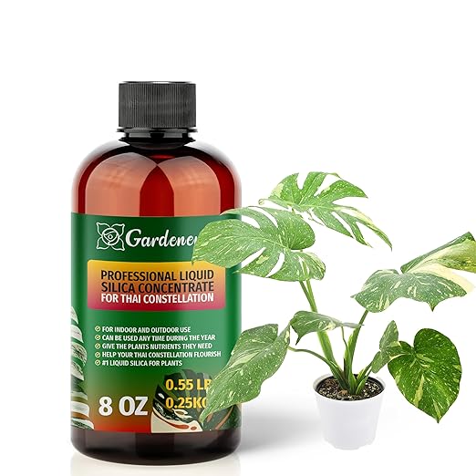 𝐏𝐑𝐄𝐌𝐈𝐔𝐌 Liquid Silica Plant Supplement - 8oz (250mL) - Thai Constellation Bioavailable Silica Fertilizer – Ideal for Hydroponics & Soil – Healthier Plants with Strong Stalks (Makes 45 Gallons)