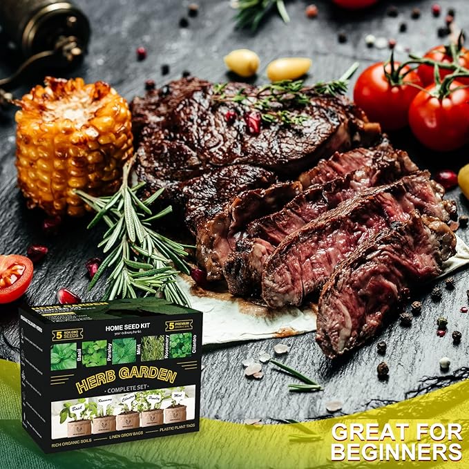 Indoor Herb Garden Starter Kit, 5 Non-GMO Herb Seeds - Basil, Parsley, Rosemary, Thyme, and Mint with Complete Planting Set for Kitchen Herb Garden DIY