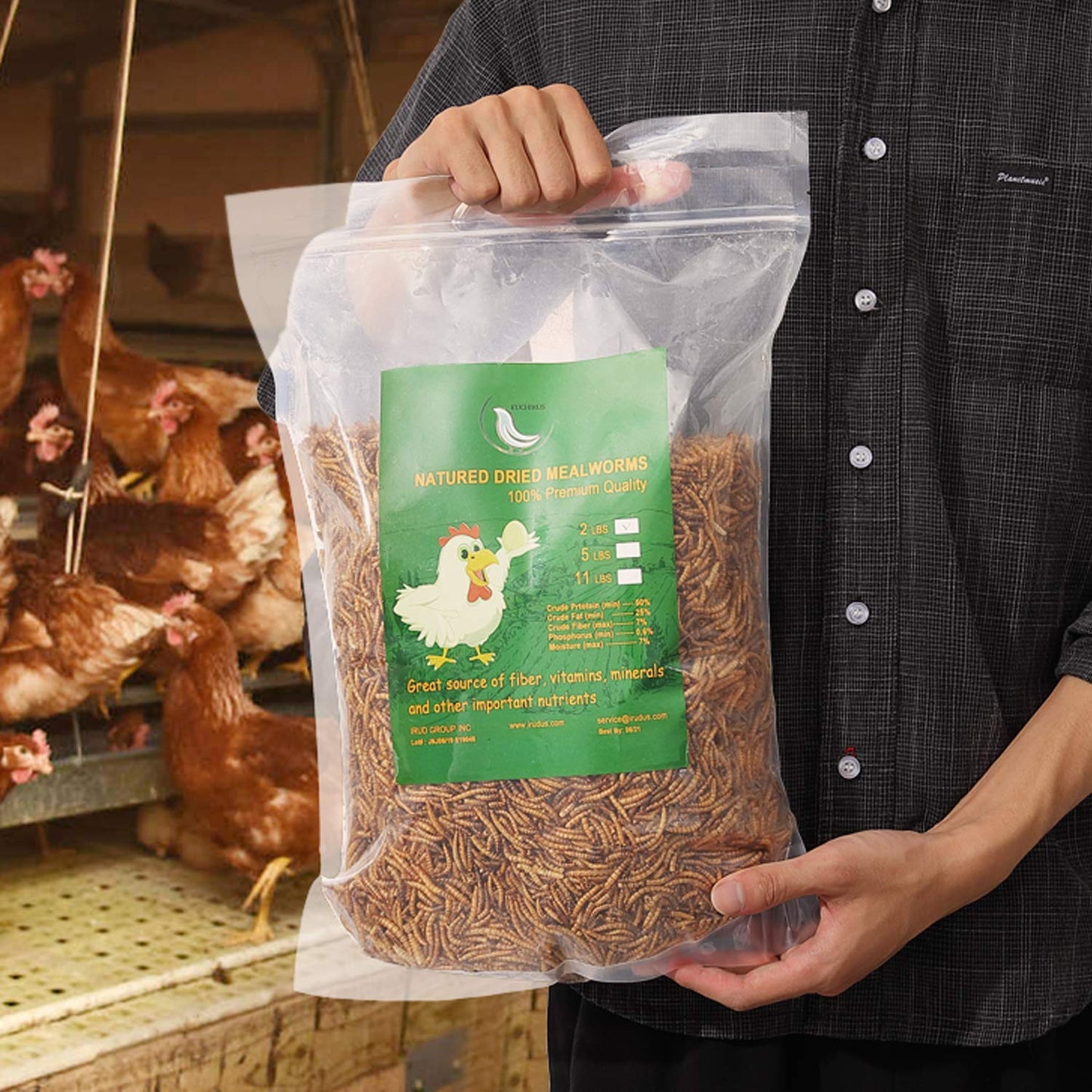 WAMSOFT Non-GMO Dried Mealworms,2LB 100% Natural Large Size No Moisture,Treats for Birds Chickens Hedgehog Hamster Fish Reptile Turtles