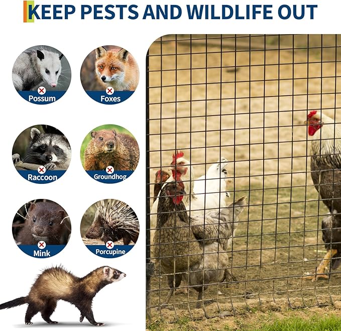 Hardware Cloth 1/2 Inch - 36in x 50ft Black Galvanized Chicken Wire Mesh Roll, Hot-Dipped After Welding for Chicken Coop, Rabbit Cages & Garden Fencing – Poultry Netting & Chicken Wire Fencing