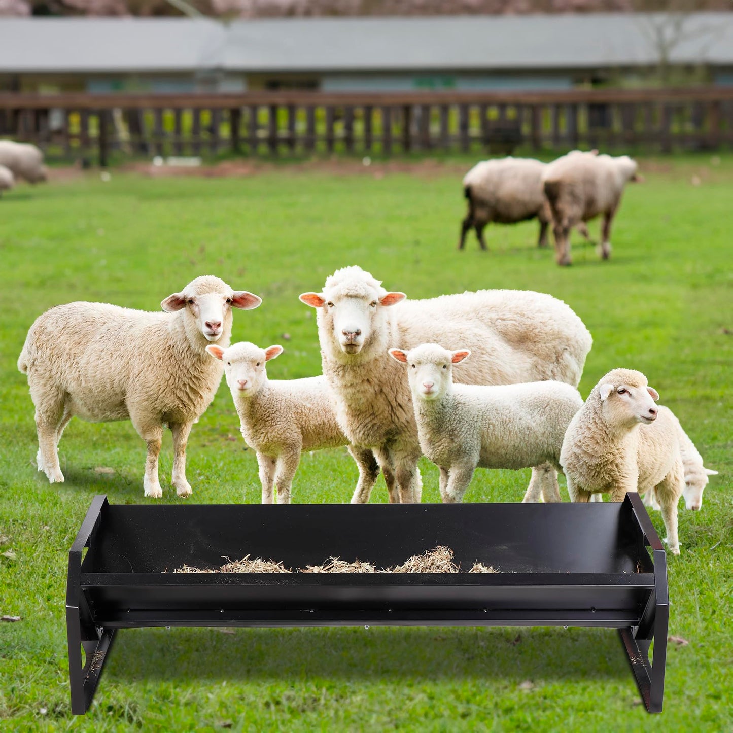 Oxphanor Pasture Feeder 44.2" Long, Heavy-Duty Large Capacity Livestock Feeder with Deeper Feeding Pan, Livestock Feeding Trough Easy to Clean, for Goats, Calves, Sheep, Horses