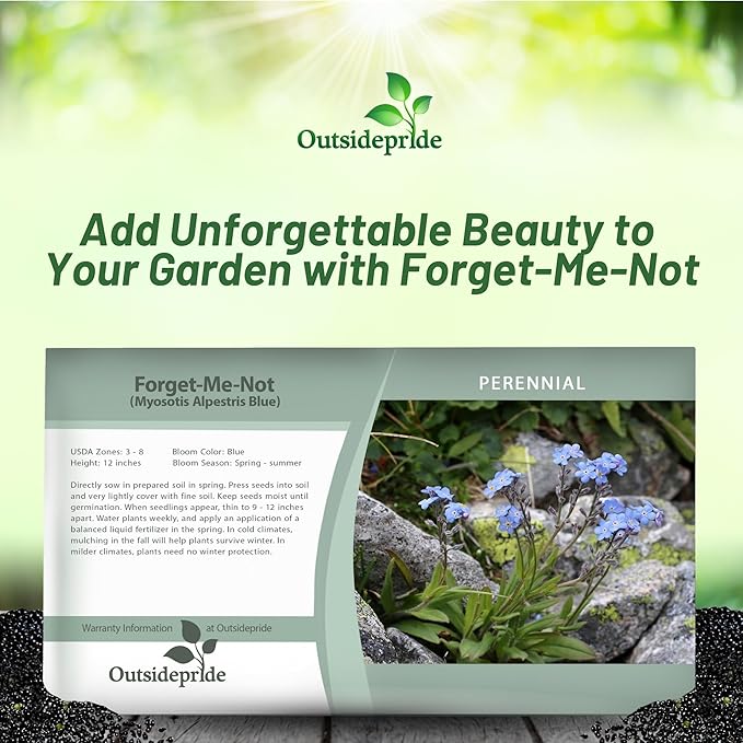 Outsidepride Blue Forget Me Not Seeds - 5000 Pcs Low Growing, Self-Sowing Perennial Flower Seeds for Planting Dense Blue Blooms & Upright Growth Habit for Meadows, Pollinator & Cottage Gardens