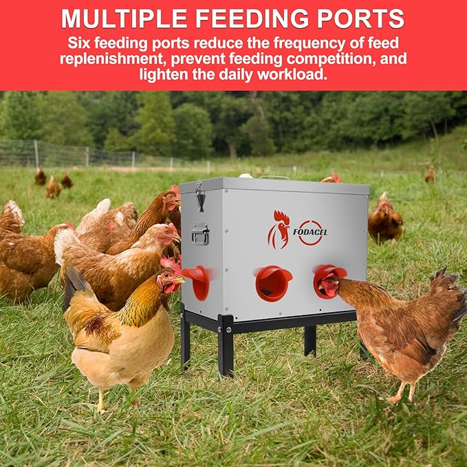 Automatic Chicken Feeder, 40-LB Capacity with 6 Feeding Ports， Galvanized Steel Metal Feeder with Support Frame and Locking Lid，Suitable for Chicken Coops to Prevent Other Animals from Accessing Feed