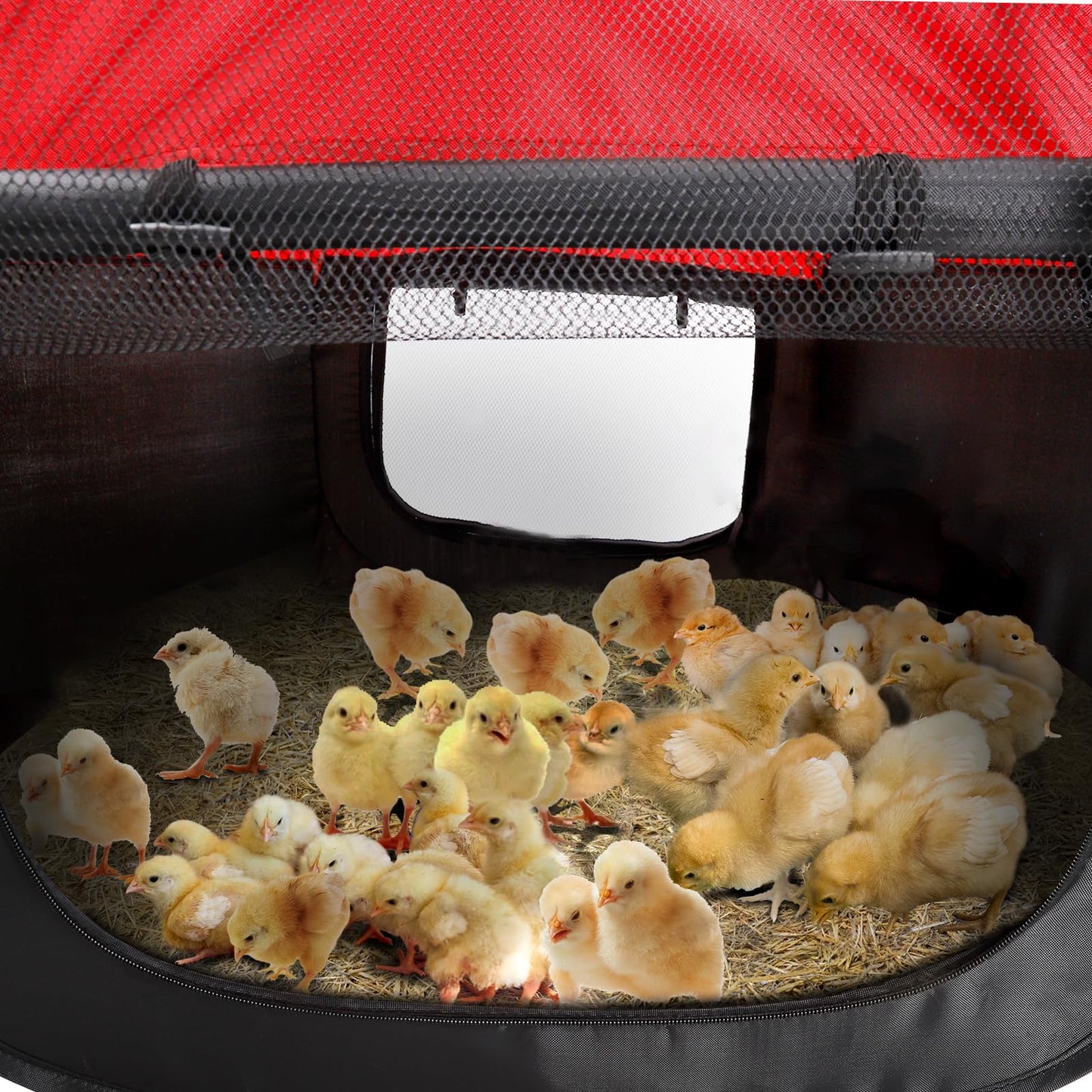 Brooder Box for Chicks - Chicken Brooder Kit with Dual Doors Design Pop-Up Playpen, Top Cover, Waterproof Mat, Storage Bag | Indoor Baby Chick Starter Kit for Ducklings, Quail & Poultry