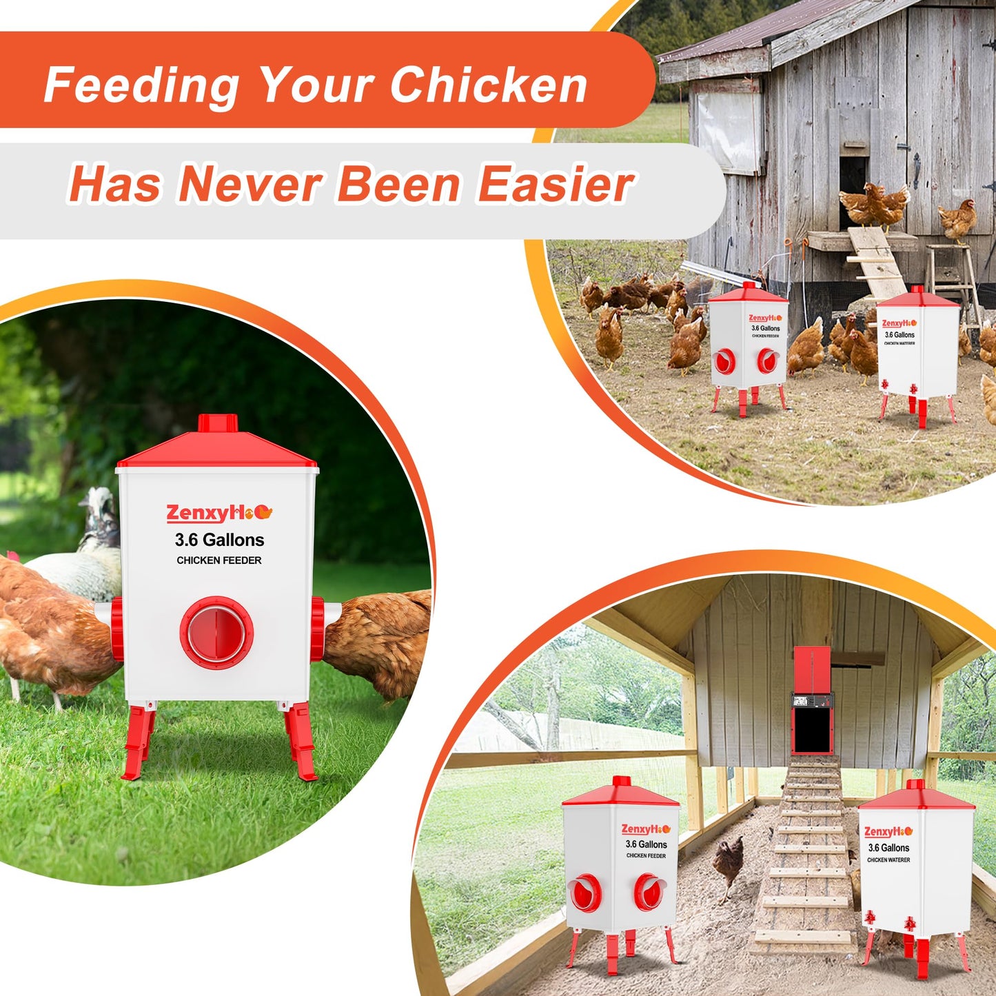 ZenxyHoC Chicken Feeders and Waterers, 4 Ports Chicken Feeder No Waste and 4 Packs Chicken Water Nipples