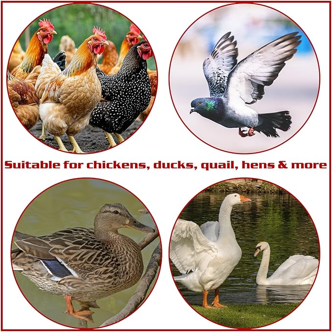 Chicken Waterer Nipples, 8 Pack Horizontal Side Mount Automatic Nipple Drinkers for Poultry Coop, Leakproof, Water-Saving, Easy Install with Drill Bit for Chickens, Ducks, Quails & Birds