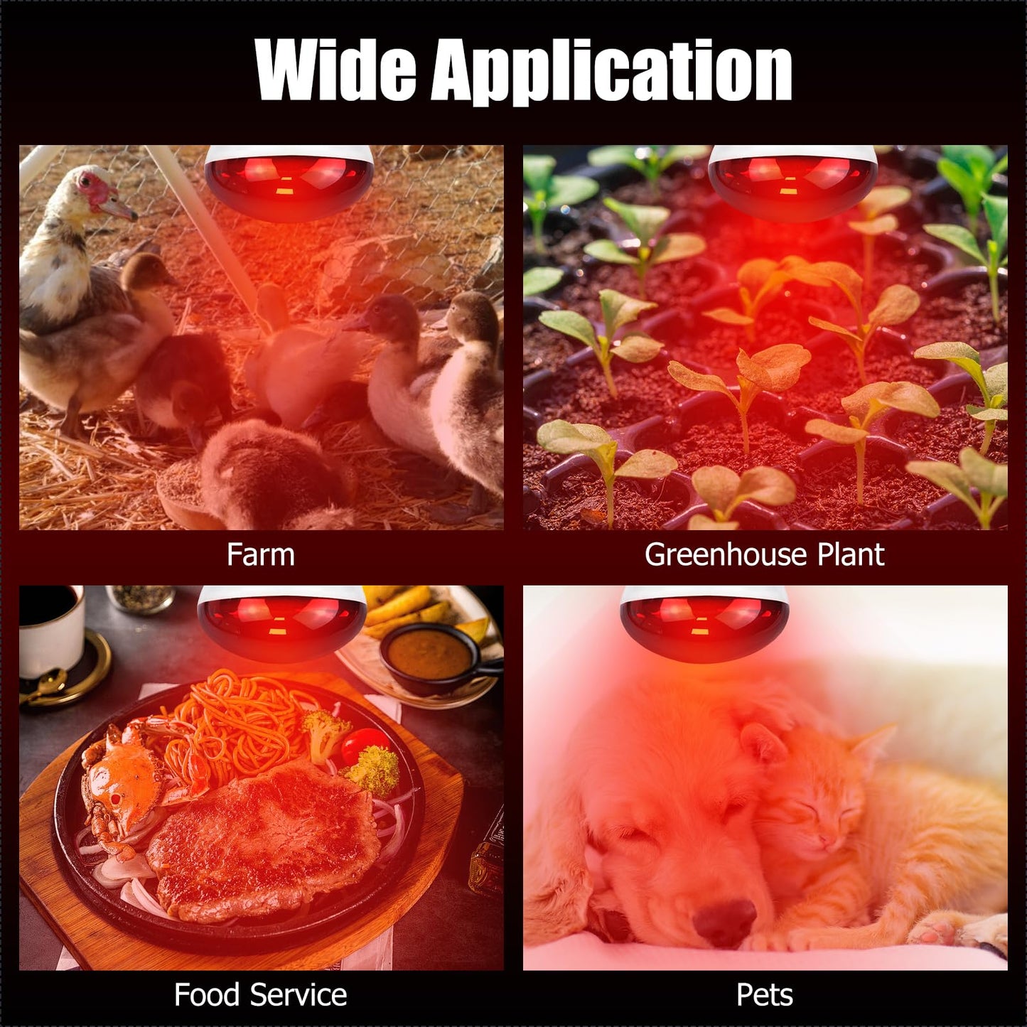 REPTI HOME 250W Infrared Heat Lamp for Chicken, Red Heat Light Bulb R125 2 Pack, Heat Lamp Bulb for Chick Croop, Reptiles, Pets, Food
