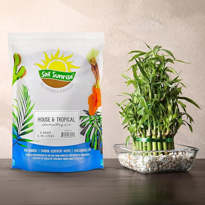 Soil Sunrise Tropical Houseplant Potting Mix (4 Quarts); Ideal for Indoor/Outdoor Container Gardening