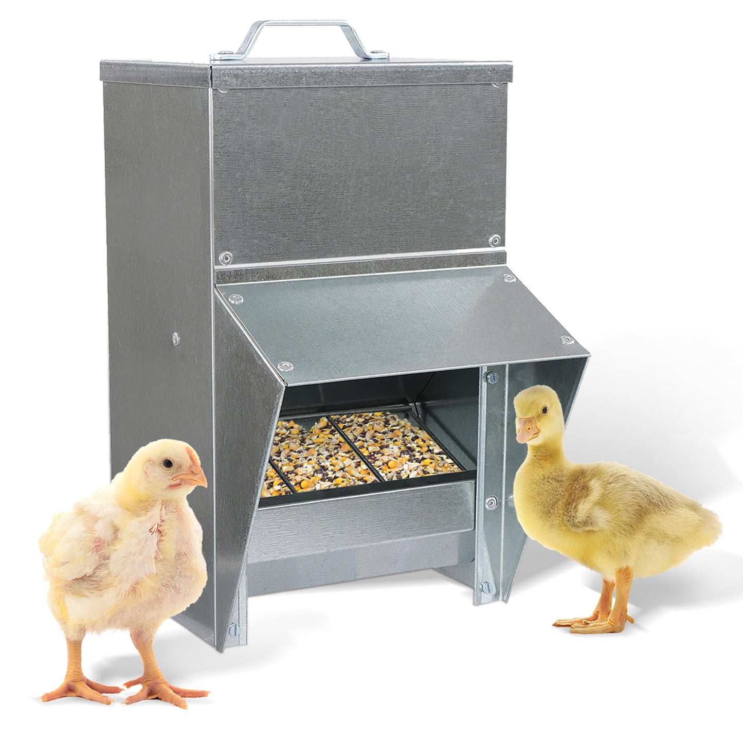 Rural365 11.5lb Capacity Galvanized Chicken Feeder - Rat Proof Poultry Feeder with Lid Weatherproof Outdoor Coop Food Dispenser