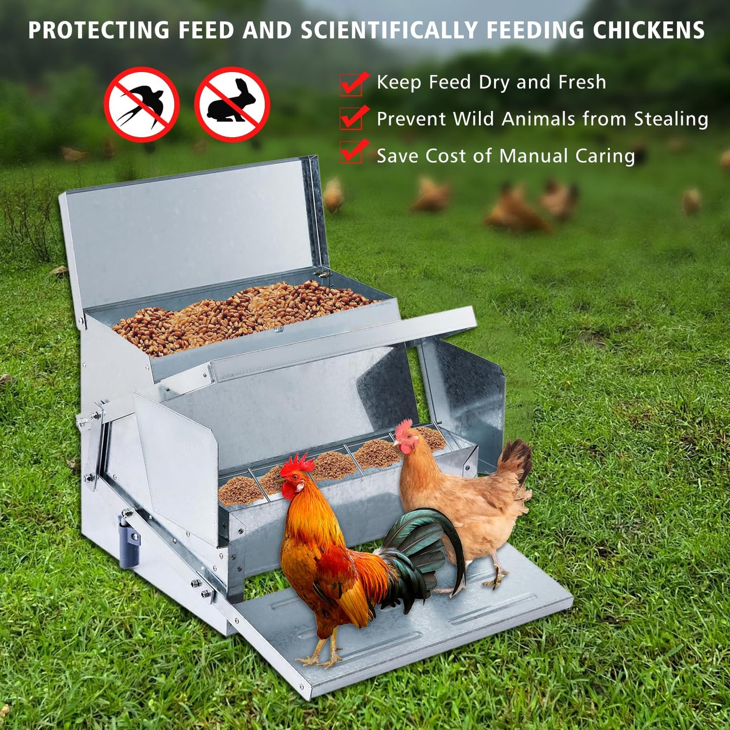 Automatic & Treadle Chicken Feeder, Rat Proof Chicken Feeder with Pedals, Sturdy Galvanized Steel Build & Weatherproof Locking Lid, Rain and Moisture Proof, No Waste, Suitable for Poultry