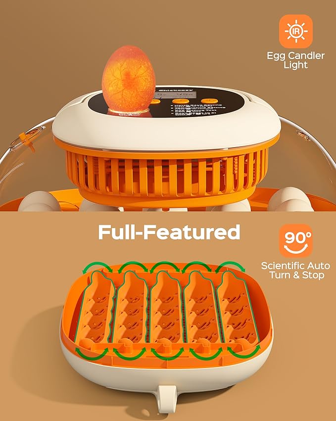 [2024 Upgrade] 25 Egg Incubator, Automatic Egg Turner with Thermometer Seat and Humidity Control, Egg Candler, 360° View with Clear Window, Incubators for Hatching Chicks (Sunlit Orange)